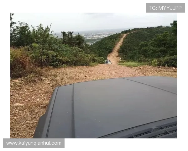 开云tyre最新款轮胎全面评测与购买指南帮助玩家提升车辆性能