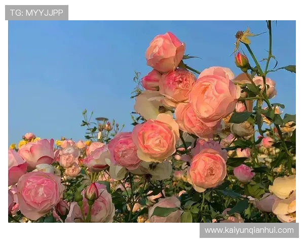 开运入口：打造属于你的开运入口让好运气源源不断涌入生活